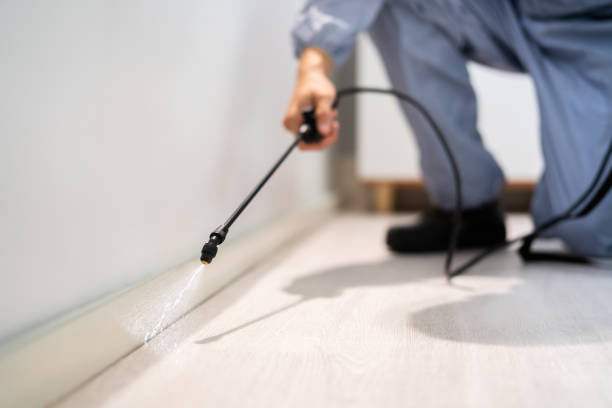 Licensed Termite Control service in Pulaski County County, VA - Nex Pest Control