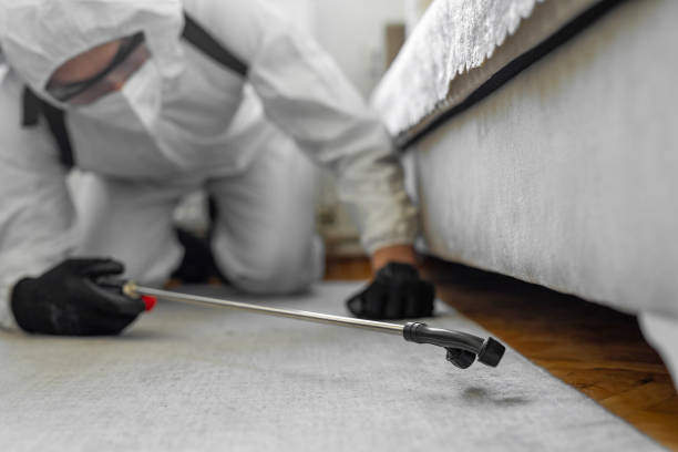 Professional Termite Control technician working in Pulaski County County, VA